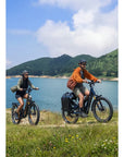 ENGWE E26 3.0 Pro eSUV E-Bike Mittelmotor 100Nm Vollfederung 720Wh 135km Grau