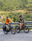 ENGWE E26 3.0 Pro eSUV E-Bike Mittelmotor 100Nm Vollfederung 720Wh 135km Grau