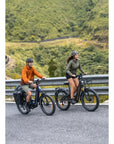 ENGWE E26 3.0 Pro eSUV E-Bike Mittelmotor 100Nm Vollfederung 720Wh 135km Grau