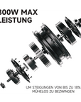 Segway Ninebot E3 Pro D E-Scooter 400W 368Wh Straßenzulassung 20km/h