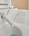 Geberit AquaClean Alba - WC Suspendu Douche Intégrée, Télécommande, Sans Bride