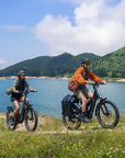 ENGWE E26 3.0 Pro eSUV E-Bike Mittelmotor 100Nm Vollfederung 720Wh 135km Grau
