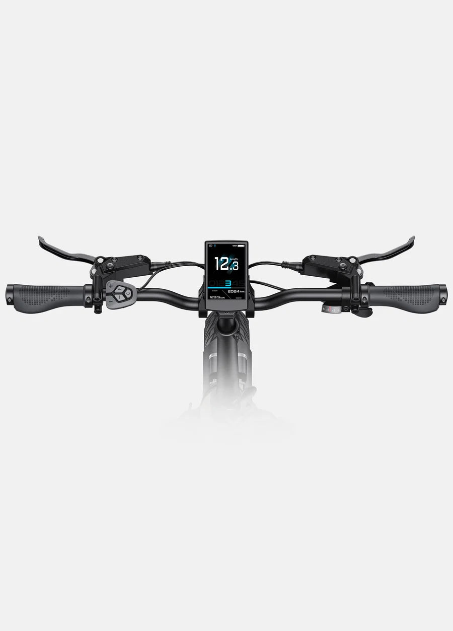 ENGWE L20 3.0 Pro E-Bike Mittelmotor 100Nm Vollfederung 720Wh Klapprad Schwarz