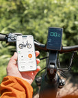 ENGWE E26 3.0 Pro eSUV E-Bike Mittelmotor 100Nm Vollfederung 720Wh 135km Grau