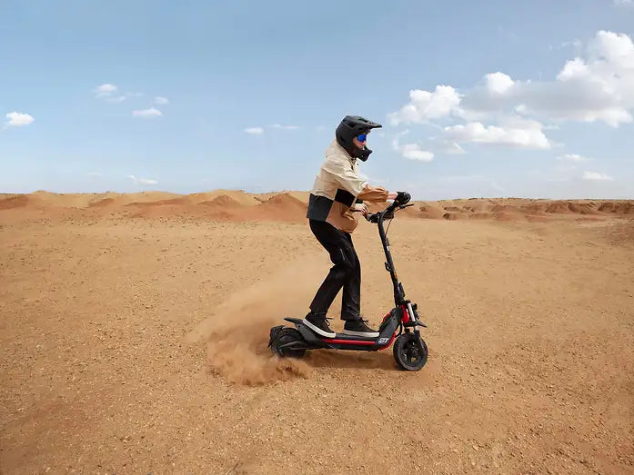 Segway Ninebot ZT3 Pro D E-Scooter 500W 597Wh Straßenzulassung 20km/h