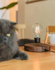 Lampe de chevet magnétique créative en verre flottant - Lampe Chevet Design