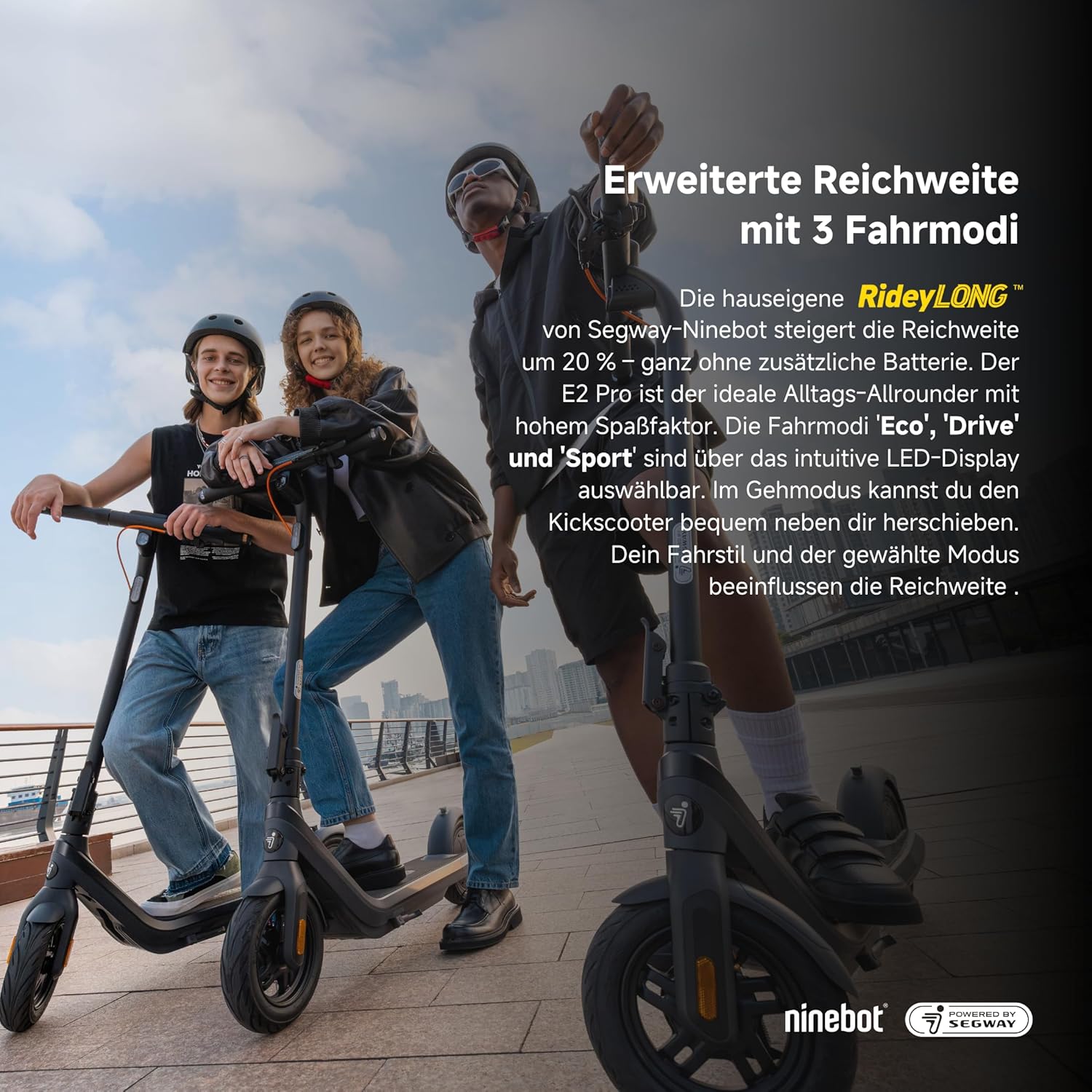 Segway Ninebot E2 Pro D E-Scooter 10 Zoll - Reichweite 35km, 750W Motor, Straßenzulassung - Schwarz