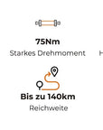 ENGWE O20 Boost Elektro-Faltrad 20" 720Wh 75Nm Pedelec E-Bike (Graphitgrau)