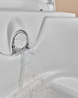 Geberit AquaClean Alba - WC Suspendu Douche Intégrée, Télécommande, Sans Bride